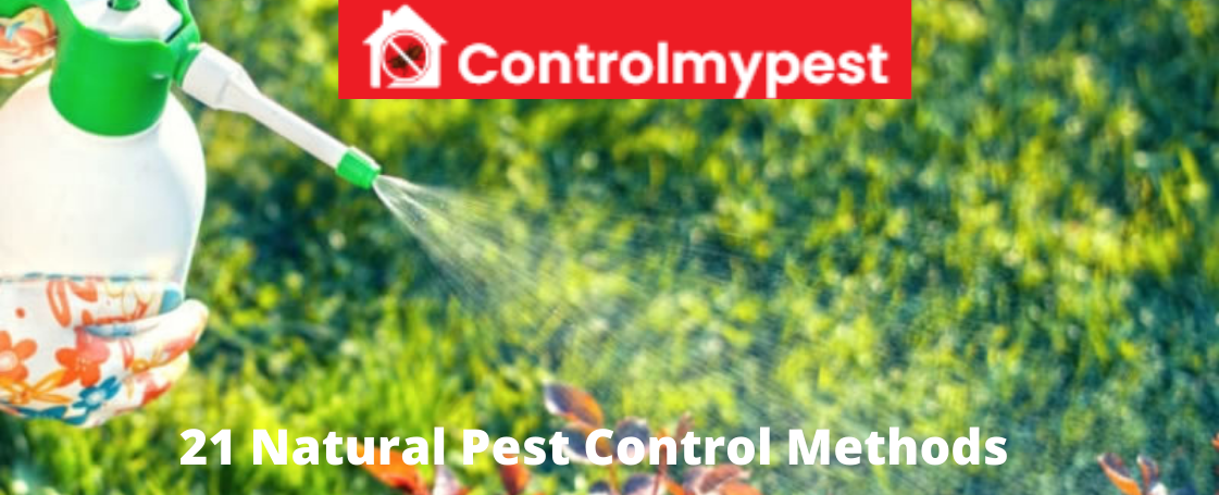 pest control methods, pest controller, pest control solutions